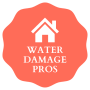 Water damage logo Rochester's