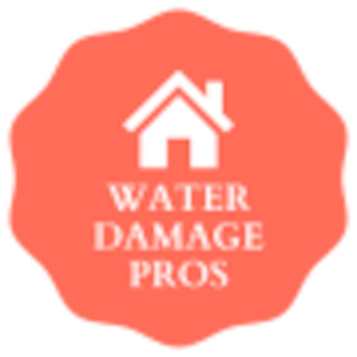 Water damage logo Rochester's